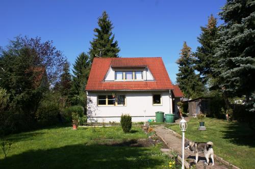 2012 bild 13 Einfamilienhhaus Plauen 2