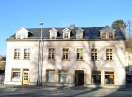 Mehrfamilienhaus in Oelsnitz 1